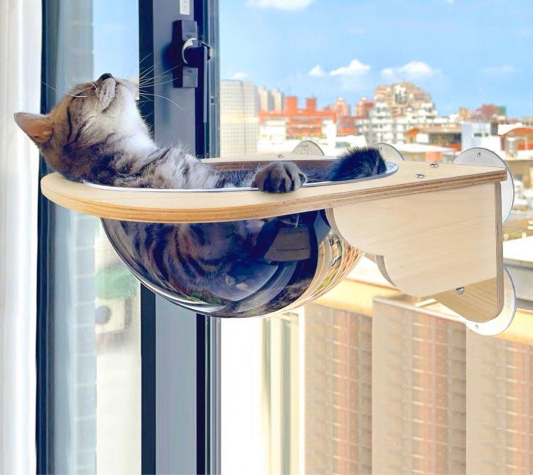 Cat top window condo