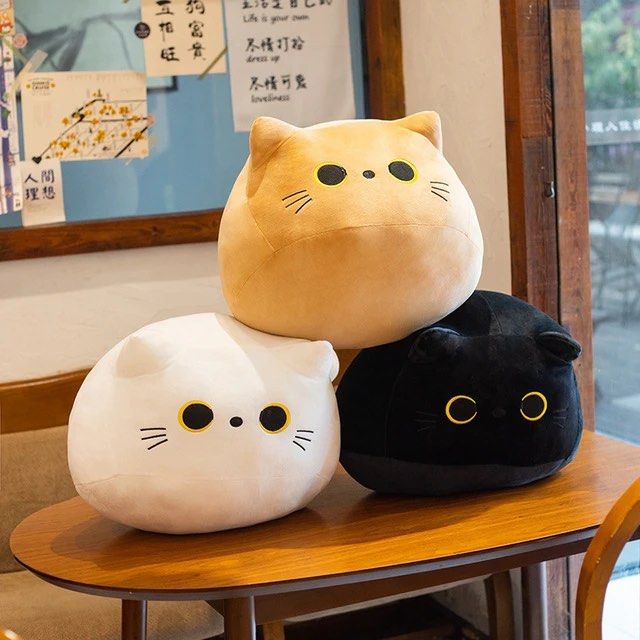 CAT KITTEN KITTY MEOW SOFT TOY SQUISHY PLUSHY PLUSHIES COLOR 10CM 30CM Furniture Home Living Home Decor Cushions Throws on Carousell