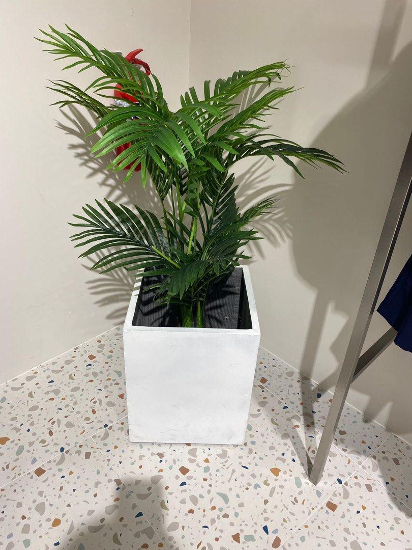 Flower pot, Furniture & Home Living, Home Decor, Other Home Decor on