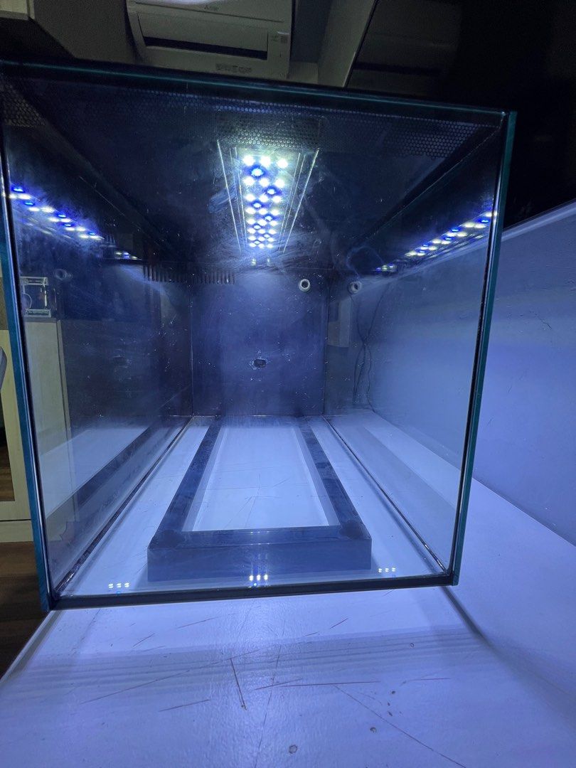 Fluval Evo 13.5 with upgrades, Pet Supplies, Homes & Other Pet