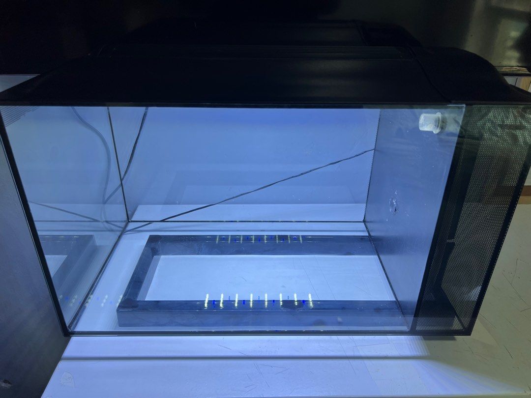 Fluval Evo 13.5 with upgrades, Pet Supplies, Homes & Other Pet