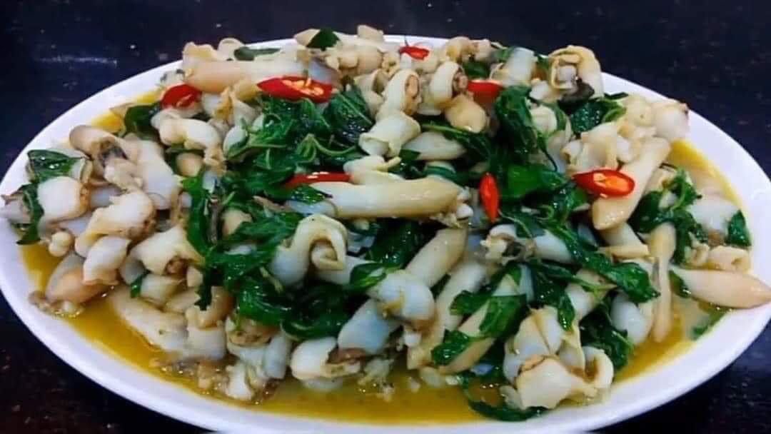 Fresh frozen Razor clam without shell 500g, Food & Drinks, Chilled ...