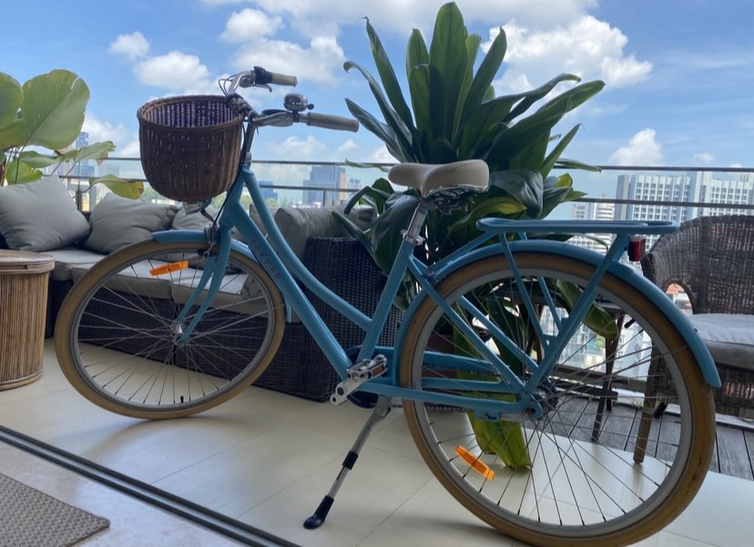 Lekker bicycle, Sports Equipment, Bicycles & Parts, Bicycles on Carousell