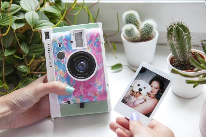 mini lomo