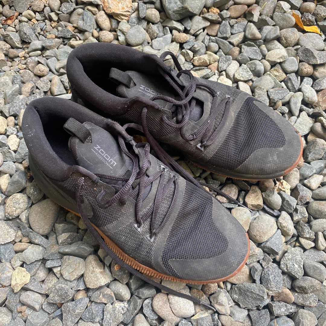 tenis nike zoom assersion