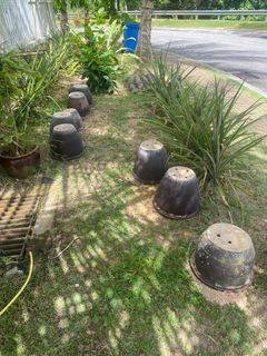 (Category: ) located in . Submitted by harithsyukri (Listing ID 1239947686, Image 1). Description: .