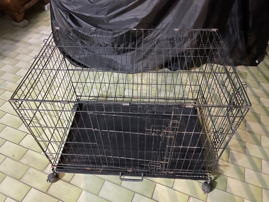2nd hand cat shop cage for sale