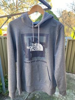 The North Face Hoodie Graphic Logo