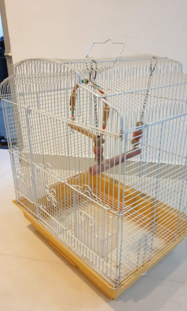 Used parrot sales cages