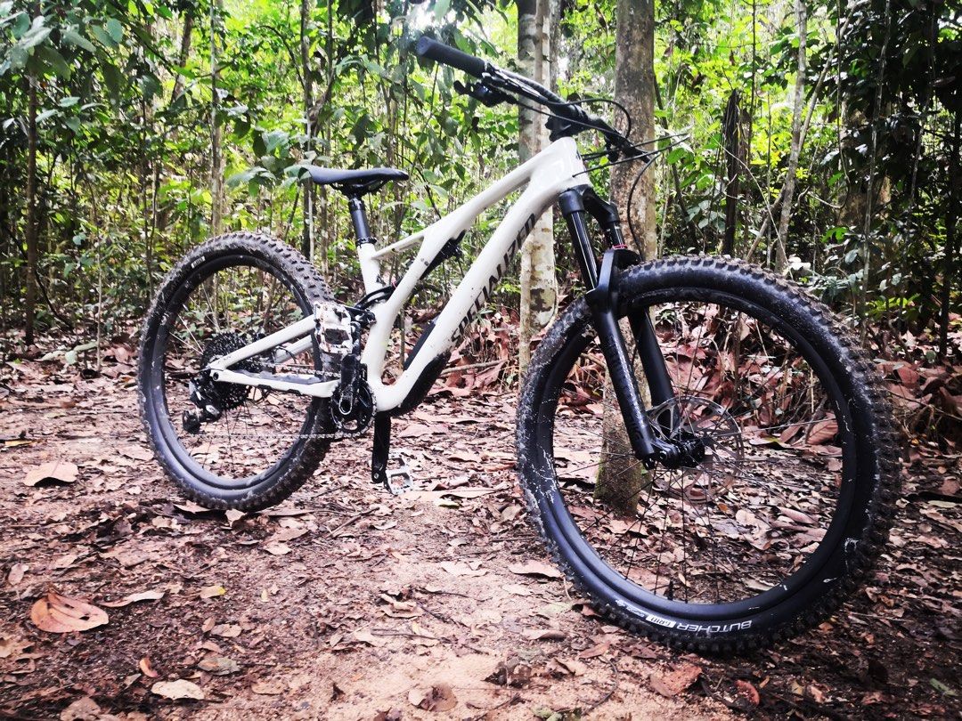 2019 stumpjumper expert