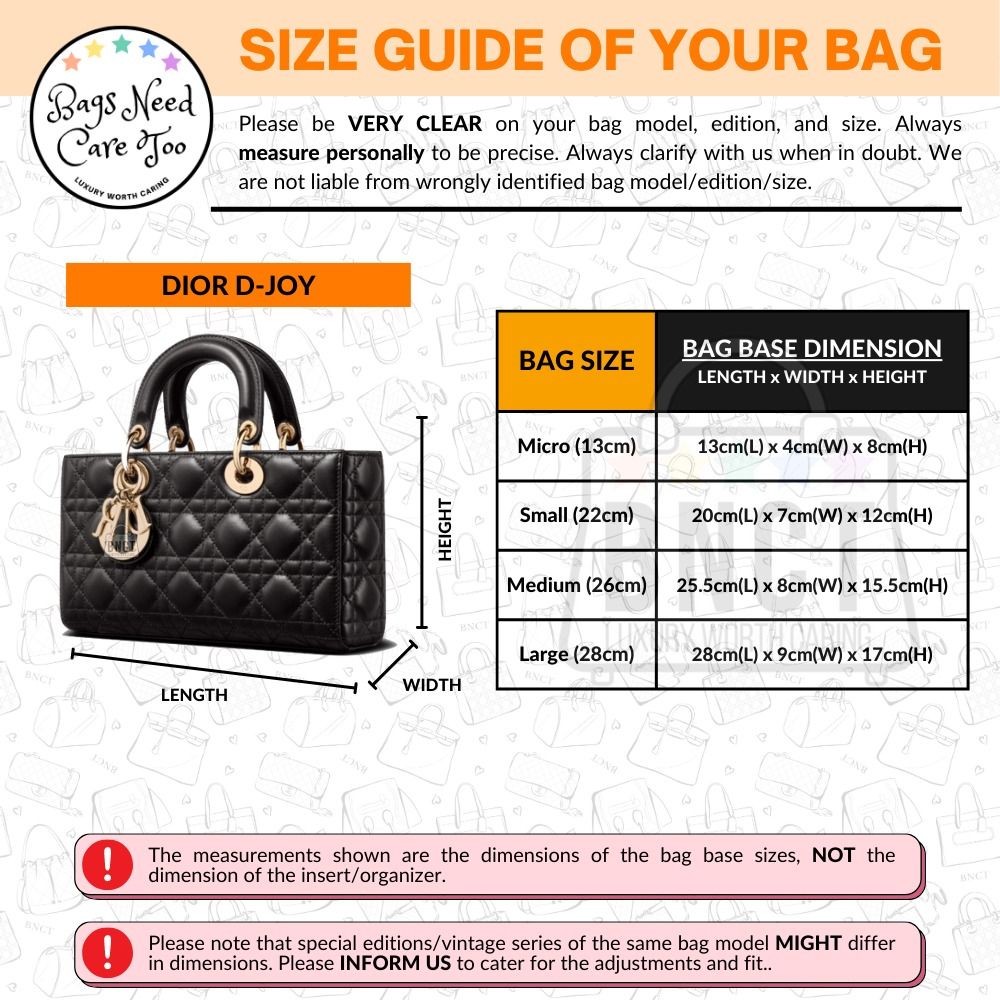 Lady dior bag best sale organizer