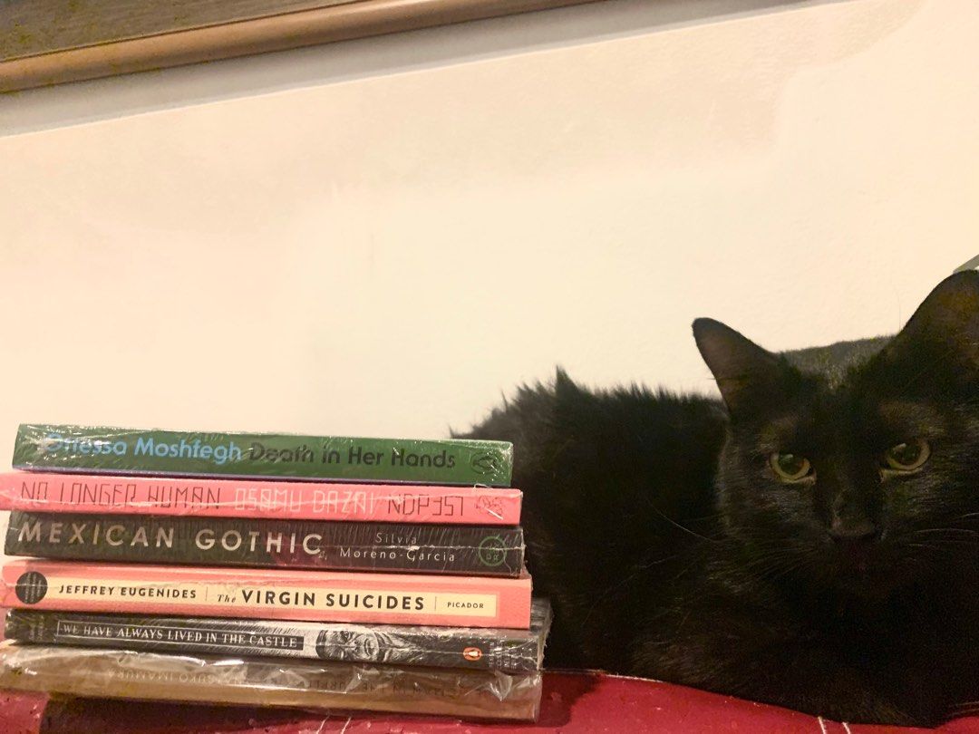 BOOK FOR SALE! (Category: Storybooks) located in Quezon City. Submitted by peacheszs (Listing ID 1240153977, Image 1). Description: Hi! These books are brand new and still sealed. Most of them are bought in Fully Booked. I need to sell them to get my cat, Panther, to the vet asap as he is having trouble peeing. Possibly suffering from UTI. 😭 I will sell these books 100 pesos less the price that I bought them. Please message if you’re interested.
