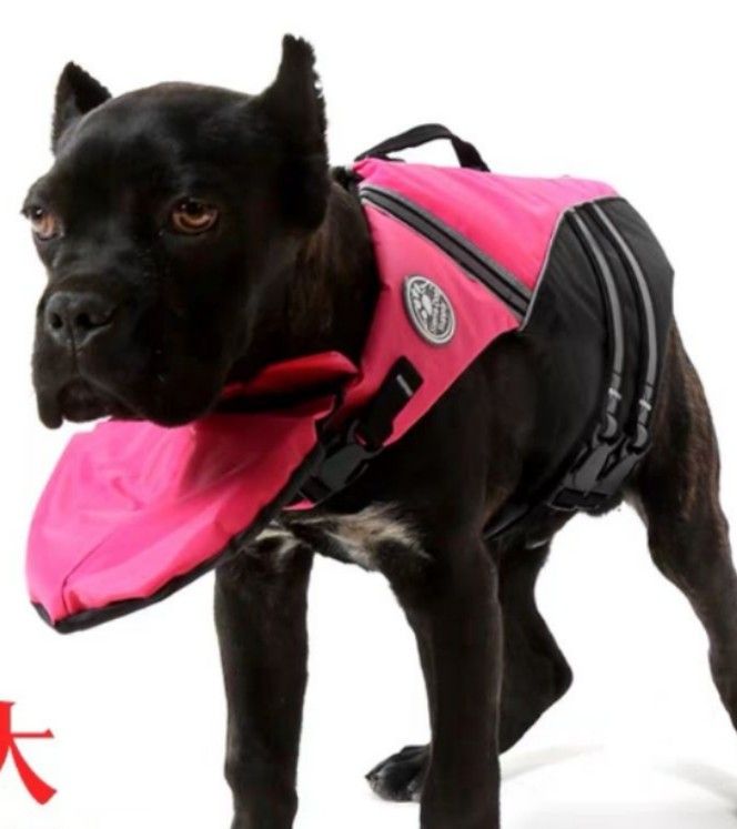 Dog Swim Vest, Pet Supplies, Homes & Other Pet Accessories on Carousell