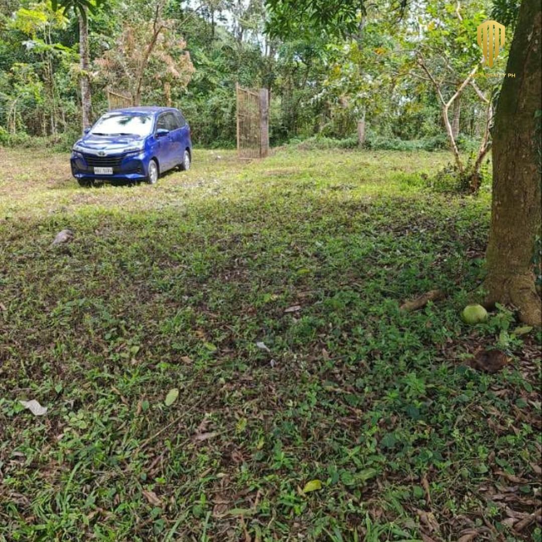 Farm Lot in Tanay Rizal For Sale, Property, For Sale, Lot on Carousell