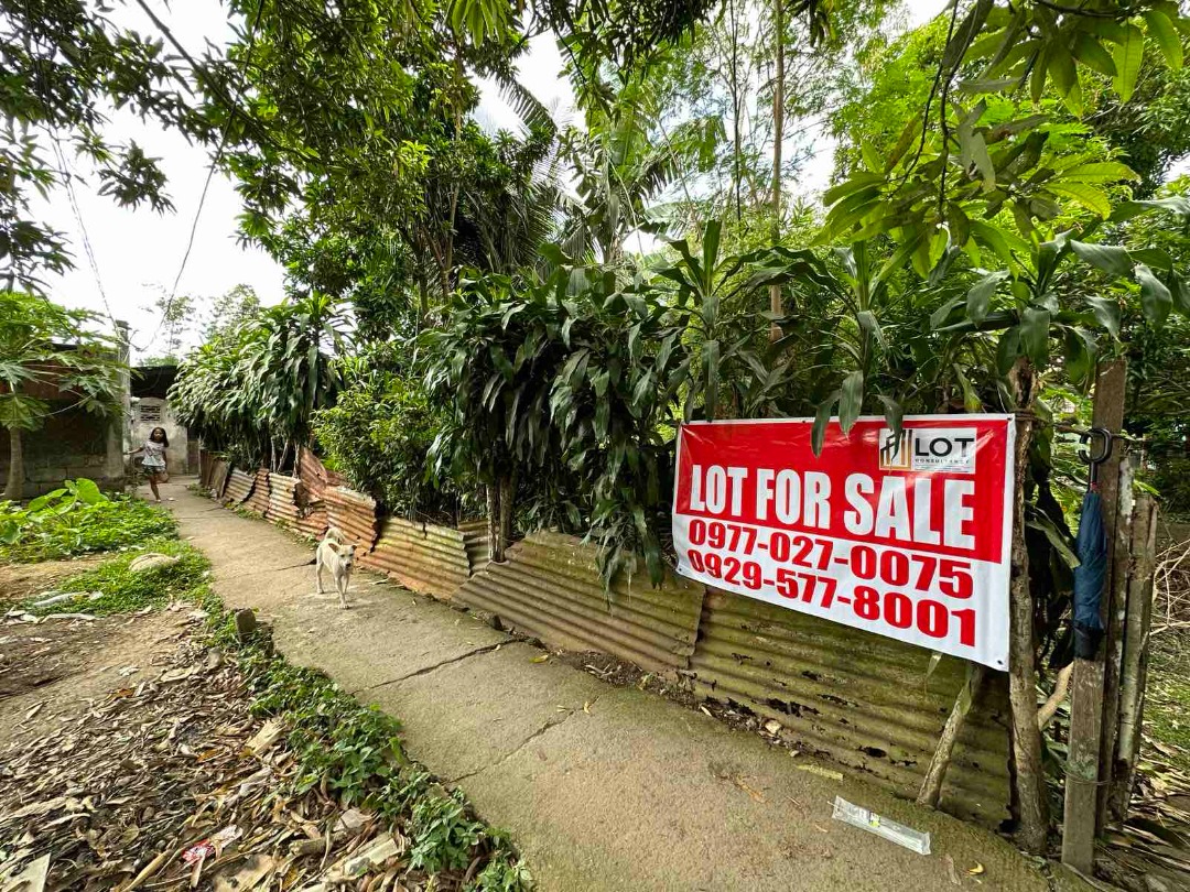 For Sale 619sqm Residential Lot in Dimarse's, Los Banos, Laguna