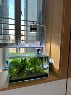 Hanging Pendant LED Light With Stand