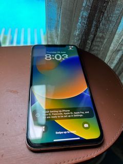 iPhone XS Max 256GB