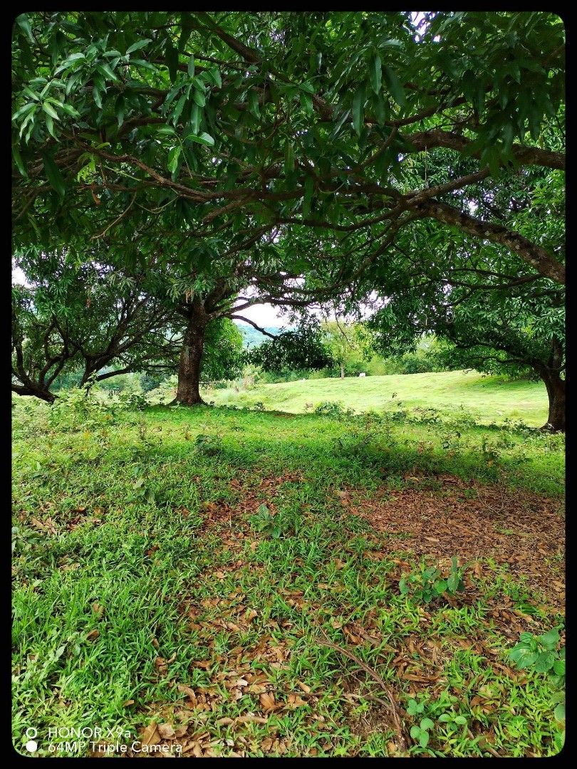 lot for sale (Category: Lot) located in Bulacan. Submitted by pompomskie93595 (Listing ID 1240234351, Image 2). Description: Affordable Farm Lot in Bulacan!!! Naghahanap ng farm lot na perfect for you and your family? Pwede taniman at pwede maglagay ng bakasyunan... May malapit na school at malapit sa tourist spot ❤️ Pili ka kung saan pasok ang budget mo. 🙂 We offer : 2,000 per sqm 2,200 per sqm Direct to owner With affordable monthly amortizati
