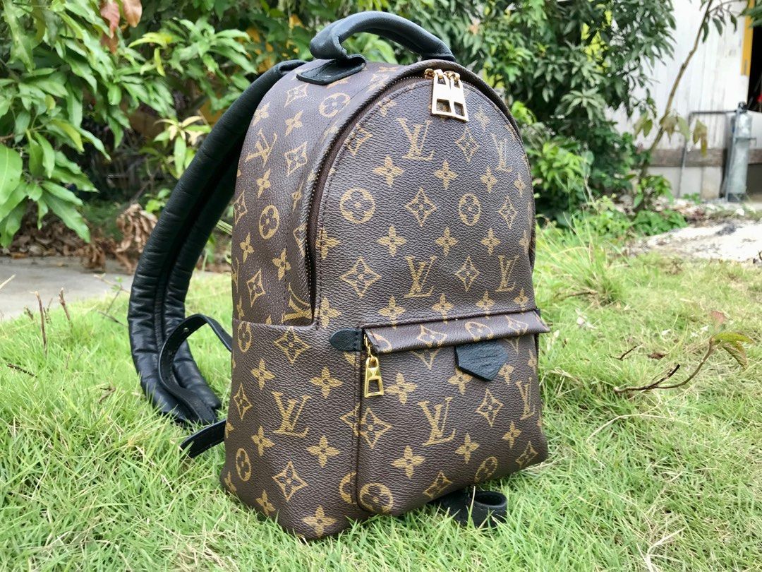 Louis Vuitton Palm Springs Monogram (Updated Zipper) MM in Coated