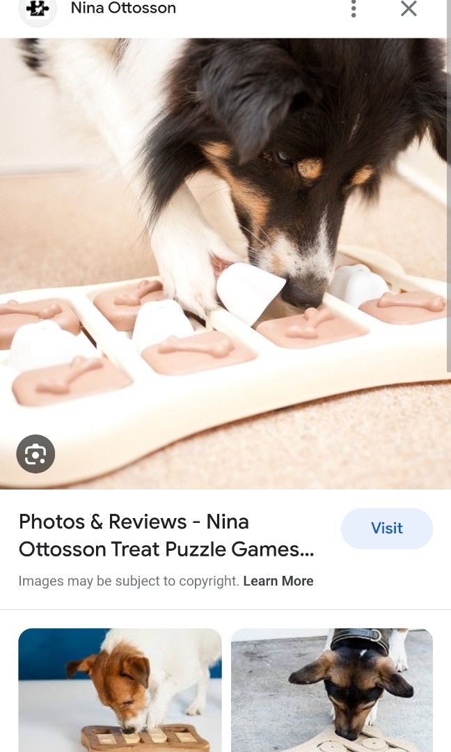 Nina Ottosson Interactive Brick Dog Toy