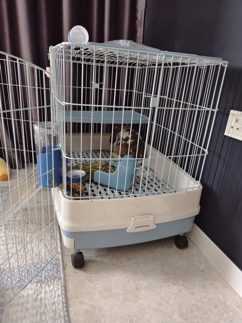 Rabbit cage and playground, Pet Supplies, Homes & Other Pet Accessories
