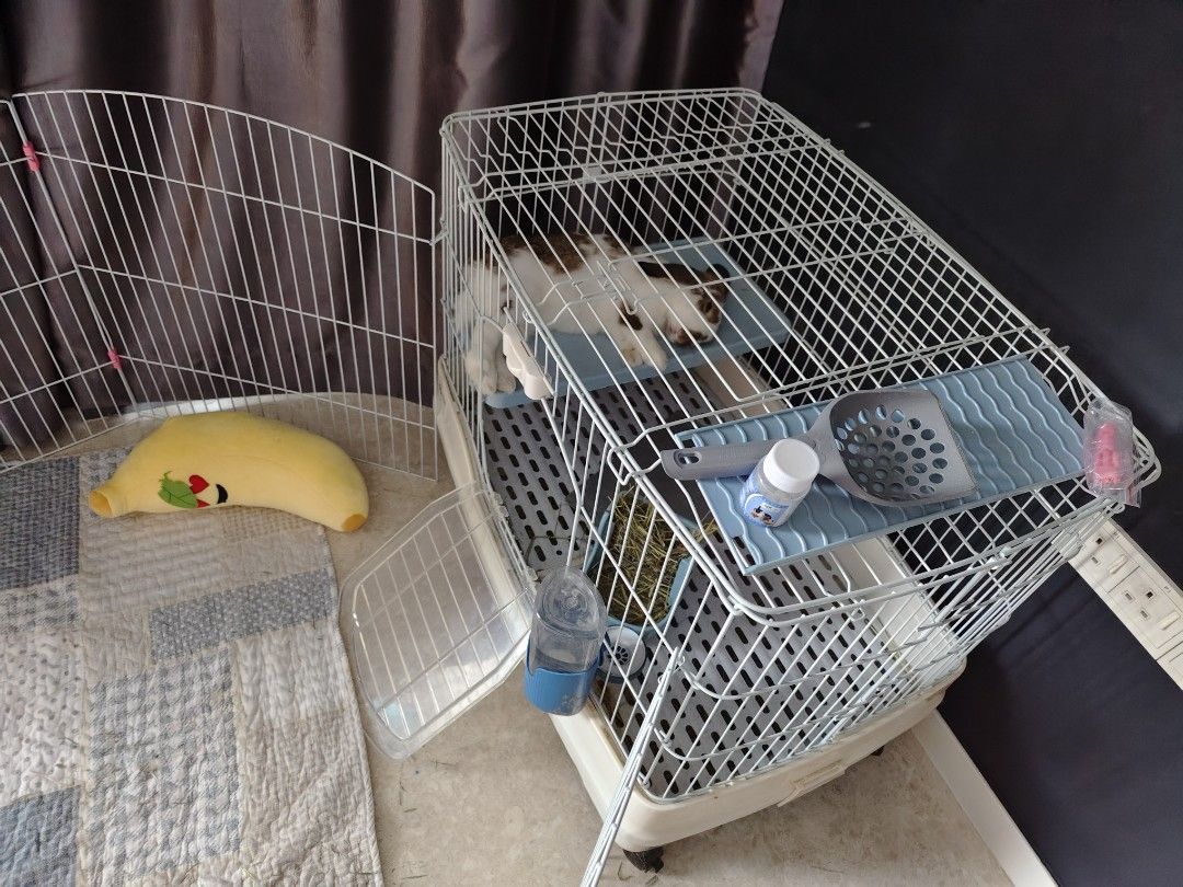 Rabbit cage and playground, Pet Supplies, Homes & Other Pet Accessories