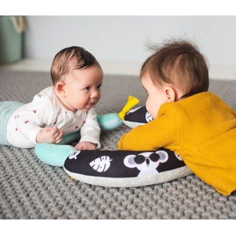 Taf Toys 2-in-1 Tummy Time Baby Pillow, Babies & Kids, Infant Playtime on  Carousell