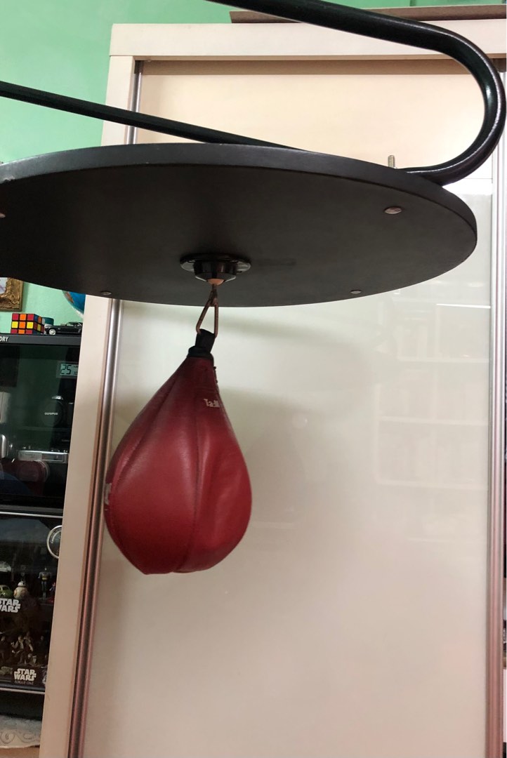 Speed bags for boxing that are perfect for your training sessions - Times  of India
