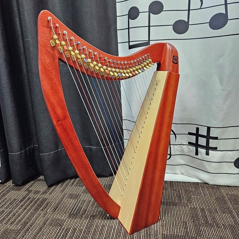 Salvi aida top harp 34 strings