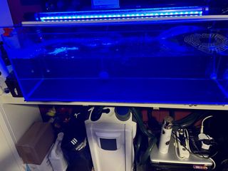 (Category: ) located in . Submitted by haj (Listing ID 1235426807, Image 1). Description: .