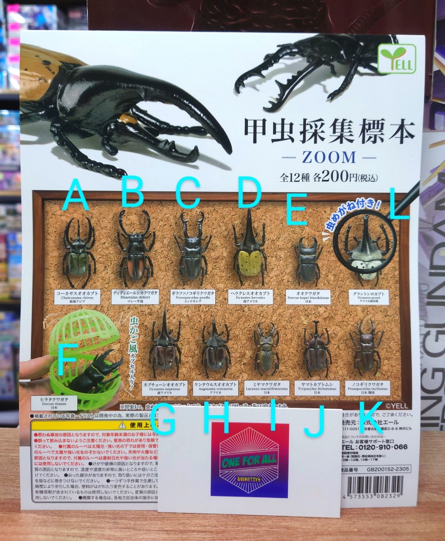 現貨］扭蛋YELL 甲蟲採集標本-zoom- (1套12款）, 興趣及遊戲, 玩具