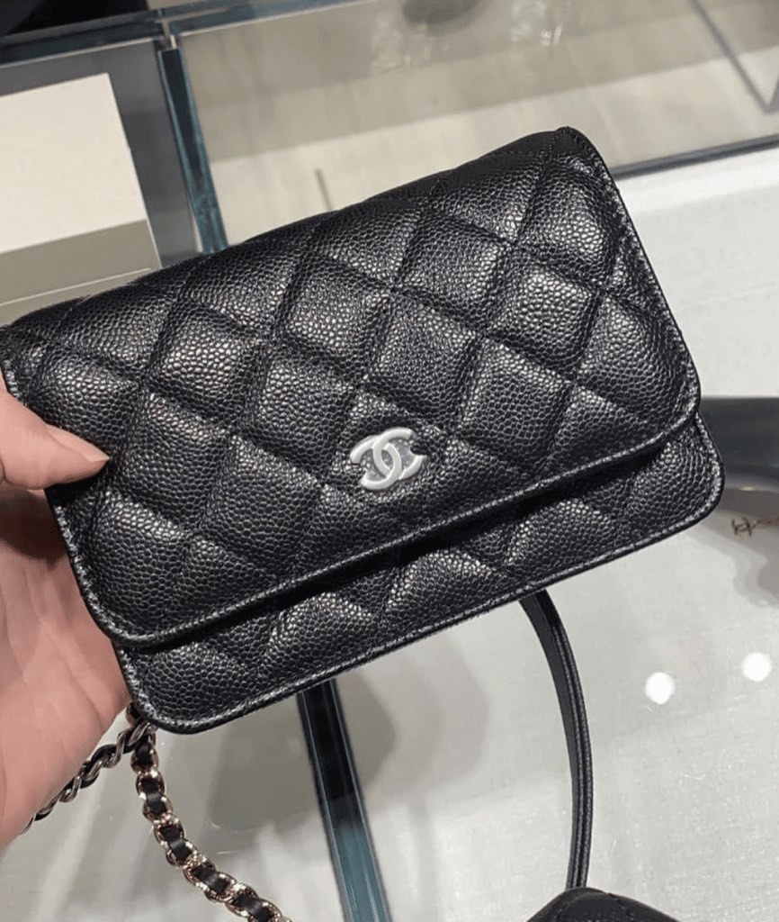 Chanel WOC caviar silver Luxury Bags Wallets on Carousell