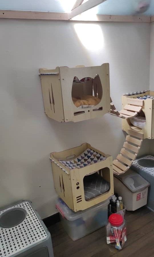 Custom made cat house, Pet Supplies, Homes & Other Pet Accessories on Carousell