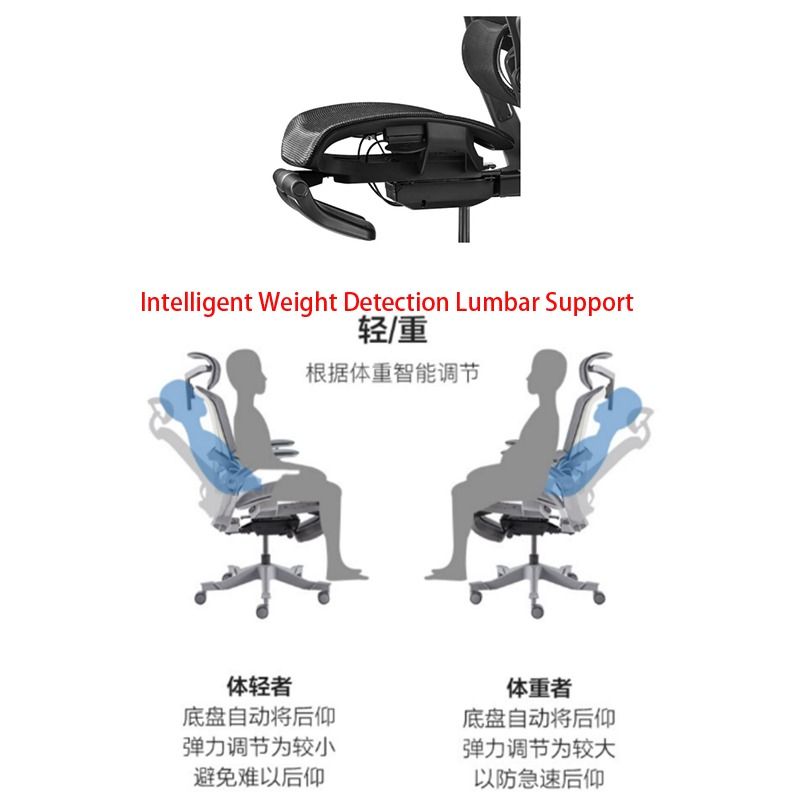 Ergonomic chair Most Comfortable Lumbar Support Sliding