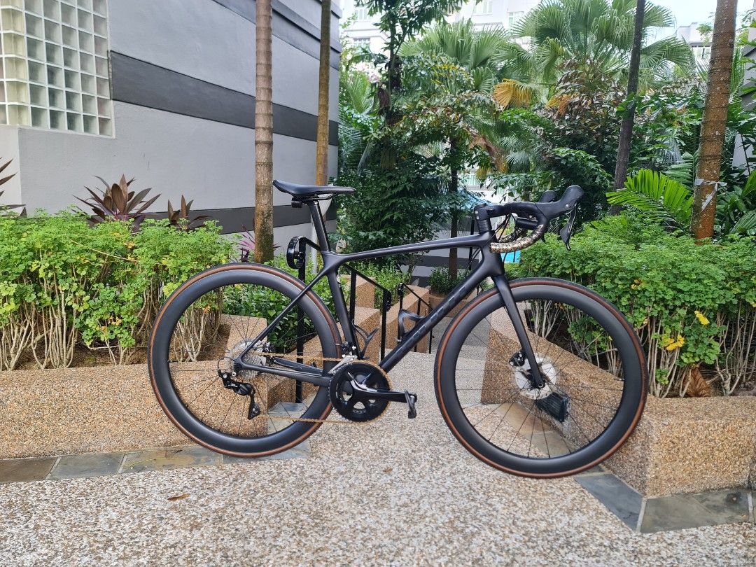 Giant Road Bike TCR Advanced 2 Disc (Pro Compact), Sports Equipment