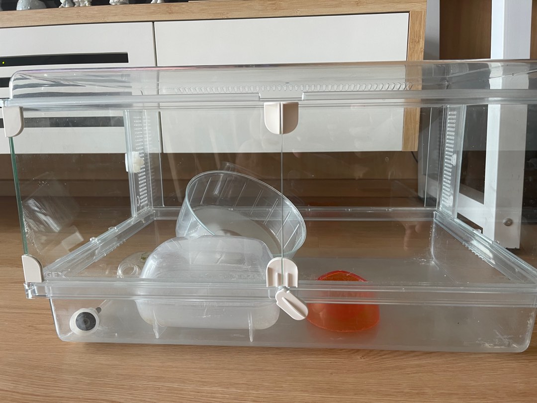 glass hamster cage, Pet Supplies, Homes & Other Pet Accessories on