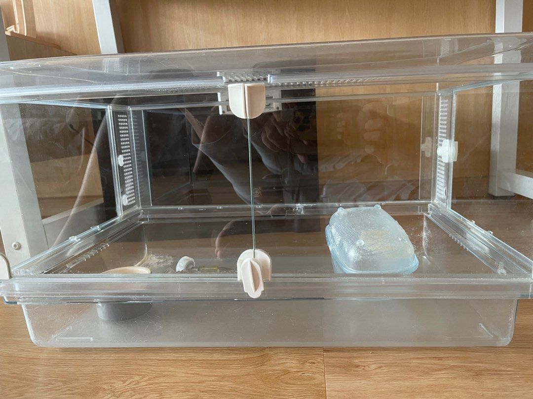 glass hamster cage, Pet Supplies, Homes & Other Pet Accessories on ...