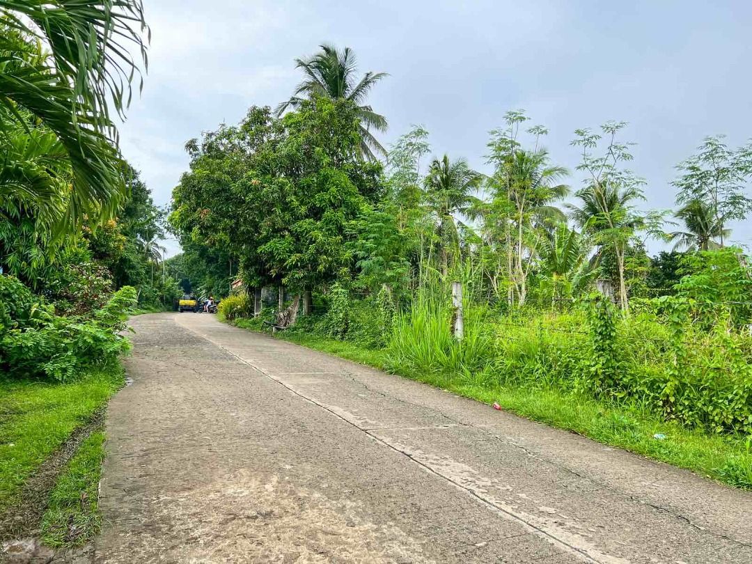 House and Lot with Garden at Mataas na Kahoy, Batangas on Carousell