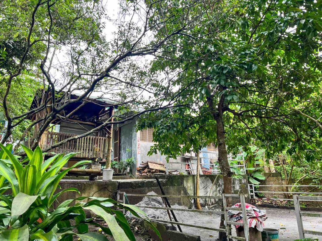 House and Lot with Garden at Mataas na Kahoy, Batangas on Carousell