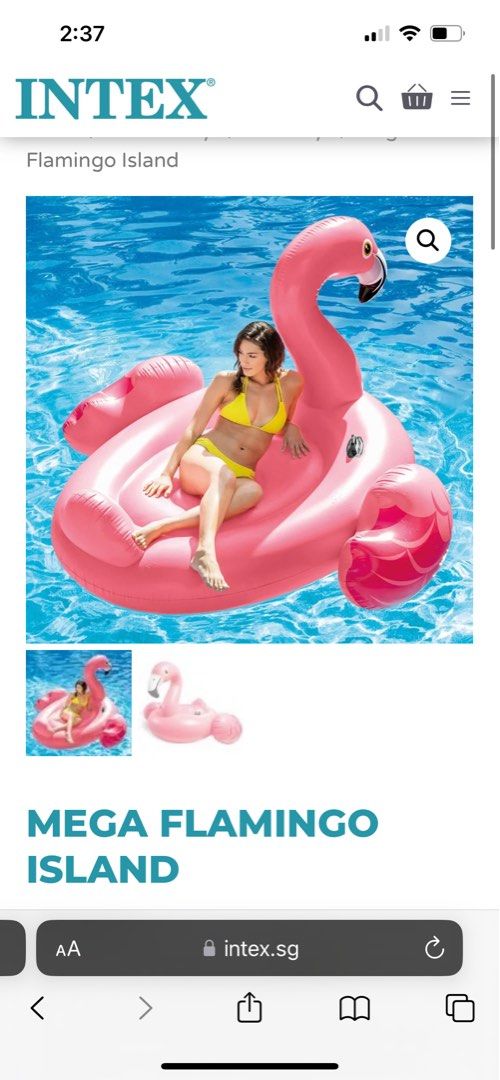 Mega 2025 flamingo float