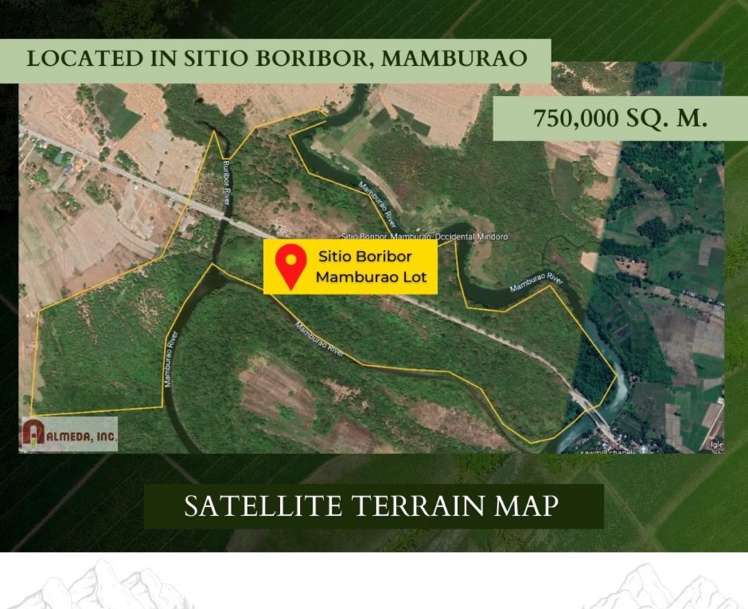 BORIBOR MINDORO LOT FOR SALE 750,000 square meters ( 75 hectare