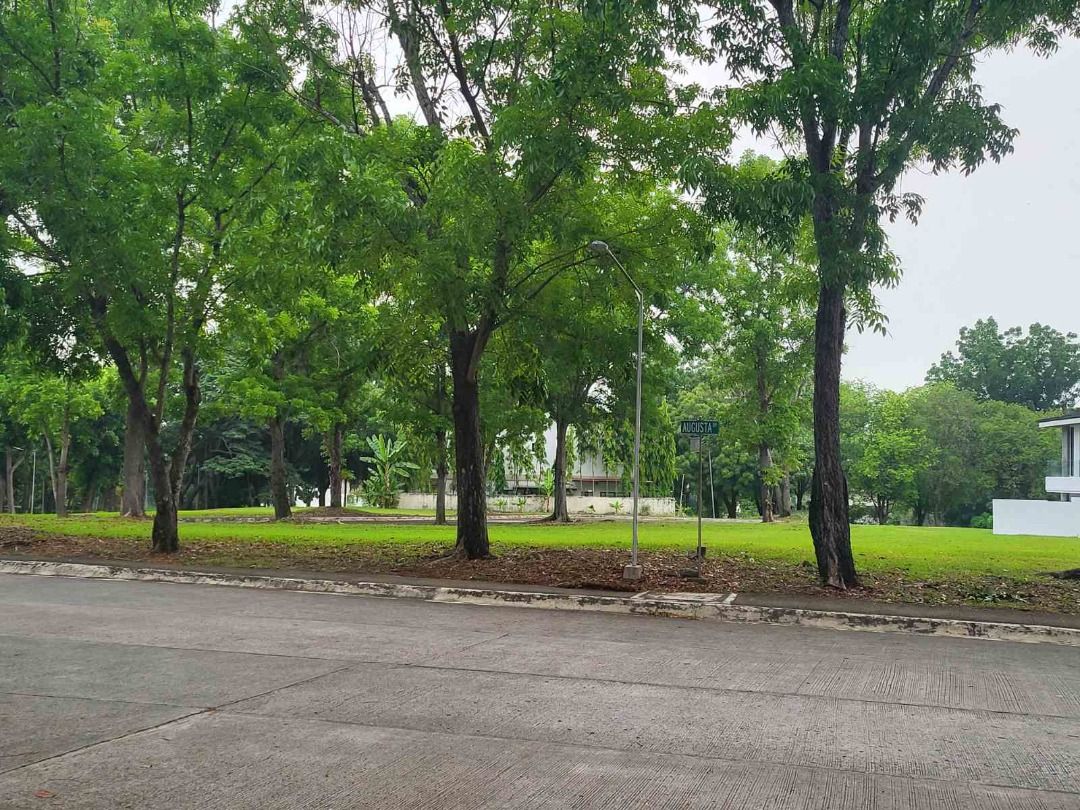 Amazing Corner Lot For Sale in Manila Southwoods Residential Estates