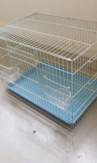 Pet ACCESSORIES  Collection item 3