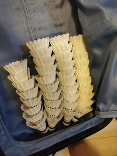 （分類：）位於 。 由 polly2295 提交（商品編號 1235485747，圖片 1）。簡介： 。