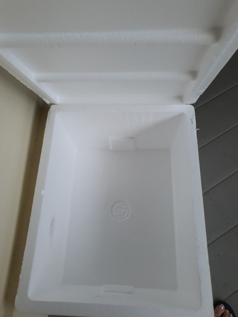 Styrofoam box, Food & Drinks, Chilled & Frozen Food on Carousell