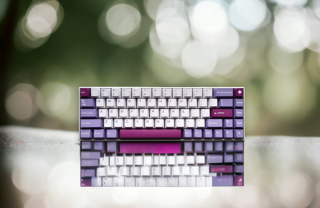 65% Custom Mechanical Keyboard (Tuzi3006)- Fully Modded, Computers ...