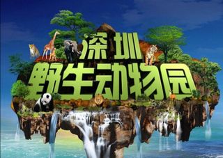 （分類：）位於 。 由 223cktang 提交（商品編號 1240290027，圖片 1）。簡介： 。