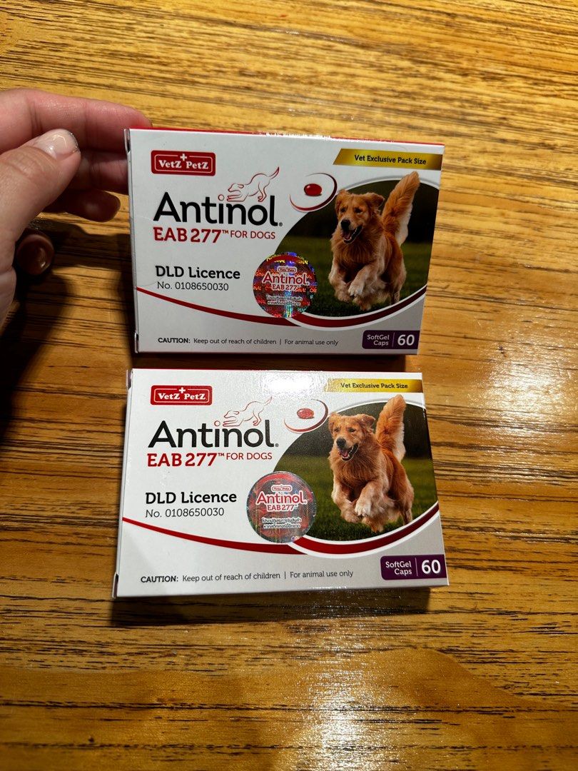 Antinol Rapid Dog Joint Supplement 60s, Pet Supplies, Health