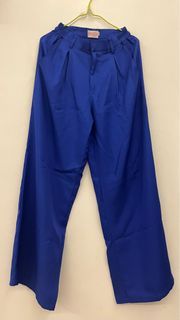 Byneeth Flowy Wide Pants in Electric Blue