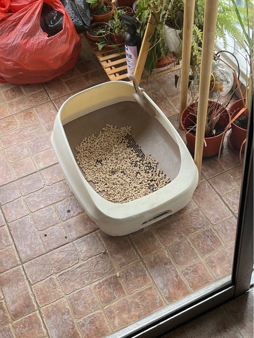 Double decker hotsell cat litter box